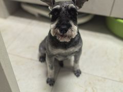 -天宠宠物医院24小时·急重症诊疗中心·全科·腔镜特色(和平分院)