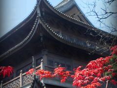-龙华寺