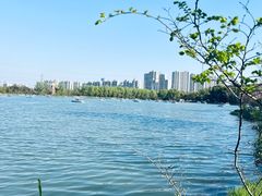 -昆山城市生态森林公园