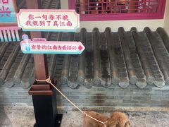 -寻宝记绍兴菜(状元店)