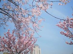 -江南大学-4食堂