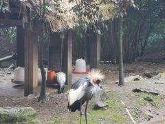 -黔灵山公园