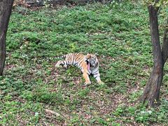 -哈尔滨北方森林动物园