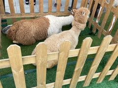 -王府井奥莱临潼小镇(临潼店)