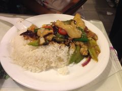 凉瓜鱼柳饭-翠华餐厅(旺角文华商场店)