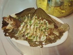 -呼吸森林·生态农庄农家乐私房菜