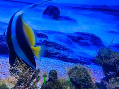 -常州海昌海洋探索馆