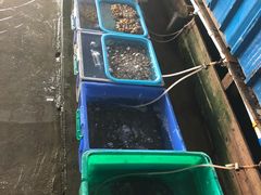 -辉记虾塘海鲜农庄