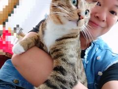 -瑞鹏·疫苗·绝育·宠物医院(金沙洲店)