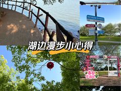 -巢湖姥山岛