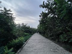 -南翠屏公园