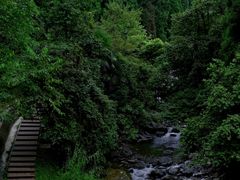 -瓦屋山景区