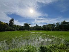 -北坞公园