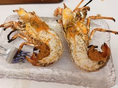 活烤小青龙-白仁仔· 活烤海鲜 宵夜(豫园店)