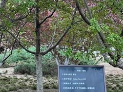 -海棠花溪(元大都城垣遗址公园)