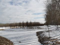 -东郊湿地公园