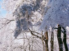-庐山风景名胜区