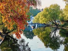 -上海共青森林公园