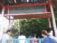 -六里坪国家森林公园