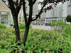 -碧海金沙