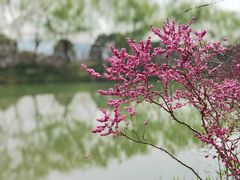 -苏州太湖国家湿地公园