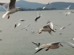-蠡湖大桥公园