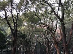 -东湖落雁景区