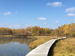 -塞罕坝国家级自然保护区