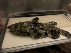 -官也街澳门火锅(新源里店)