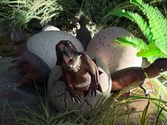 -陕西自然博物馆