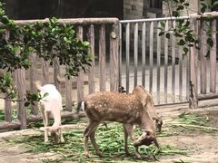 -重庆动物园·东二门售票处