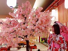 -汤泉良子(金源店)