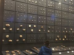 -北京周口店北京人遗址博物馆