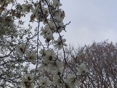 -睦南公园