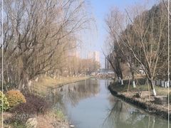 -九科绿洲