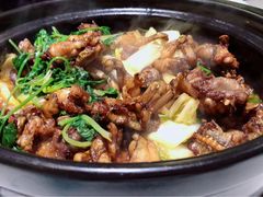 -众悦夜郎蛙美食餐厅(太原南街店)