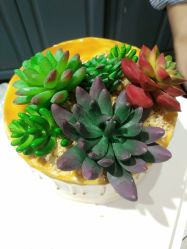 -明匠曲蛋糕西点屋(穗花新村店)