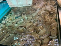 -新隆嘉 供销超市(修竹商场店)