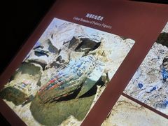 -秦始皇帝陵博物院(兵马俑)