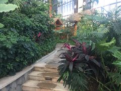 -郑州银基黄帝宫御温泉