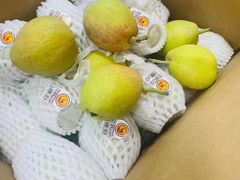 -沈阳市八家子水果批发市场