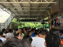 -天目湖松岭竹海漂流