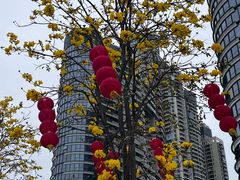 -洲头咀公园