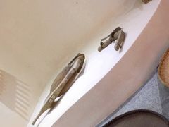 -遵义市博物馆