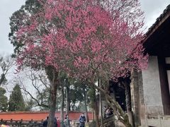 -金堂县云顶石城风景区
