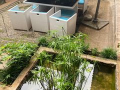 -浔岚云舍mist静谧观景美宿(丽江古城店)