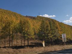 -塞罕坝国家级自然保护区