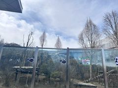 -青藏高原野生动物园