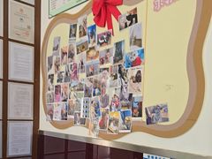 -顺强宠物诊所·狂犬免疫·夜诊·骨科(嘉定店)