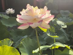 -长安寺